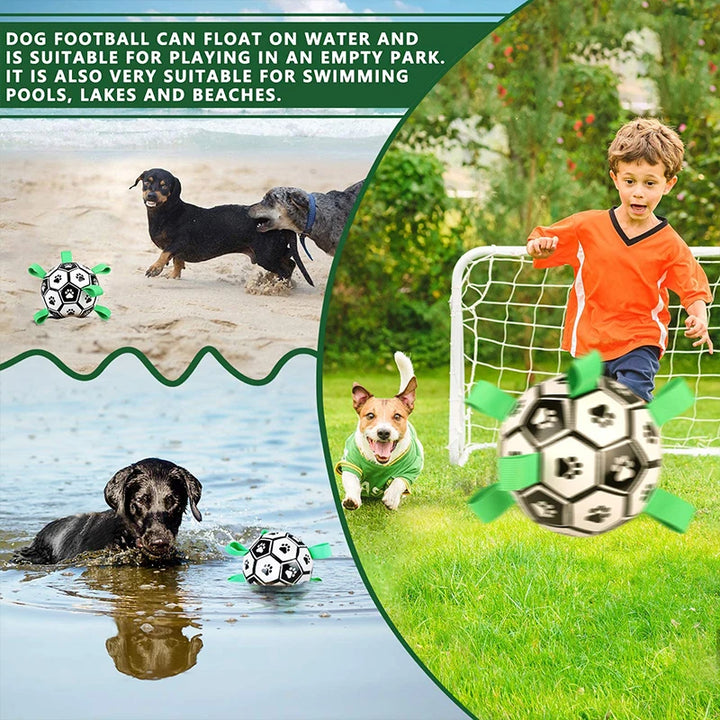 Interactive Soccer Brain Game for Dogs