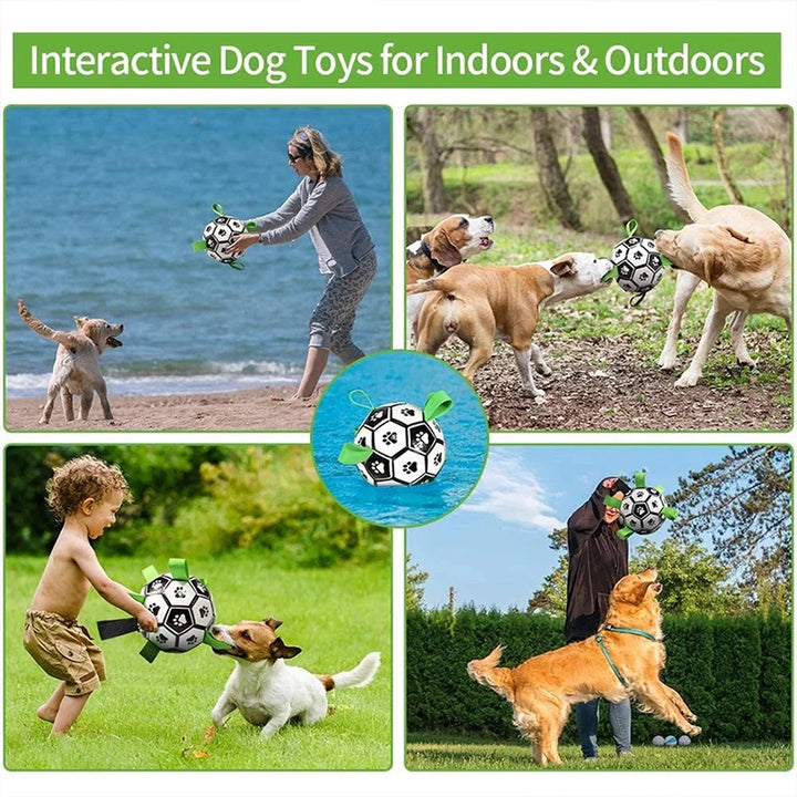 Interactive Soccer Brain Game for Dogs