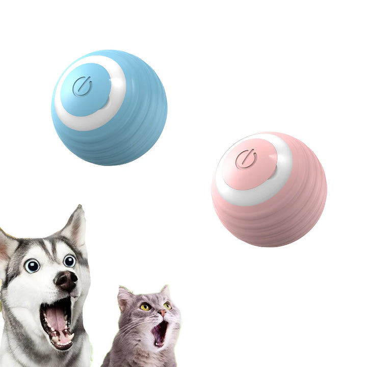 Smart Cat Ball Toys