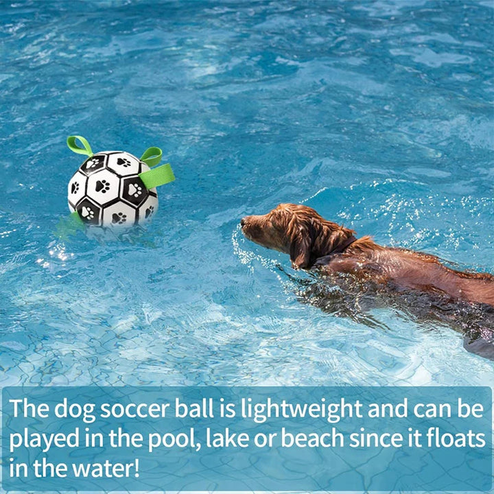 Interactive Soccer Brain Game for Dogs