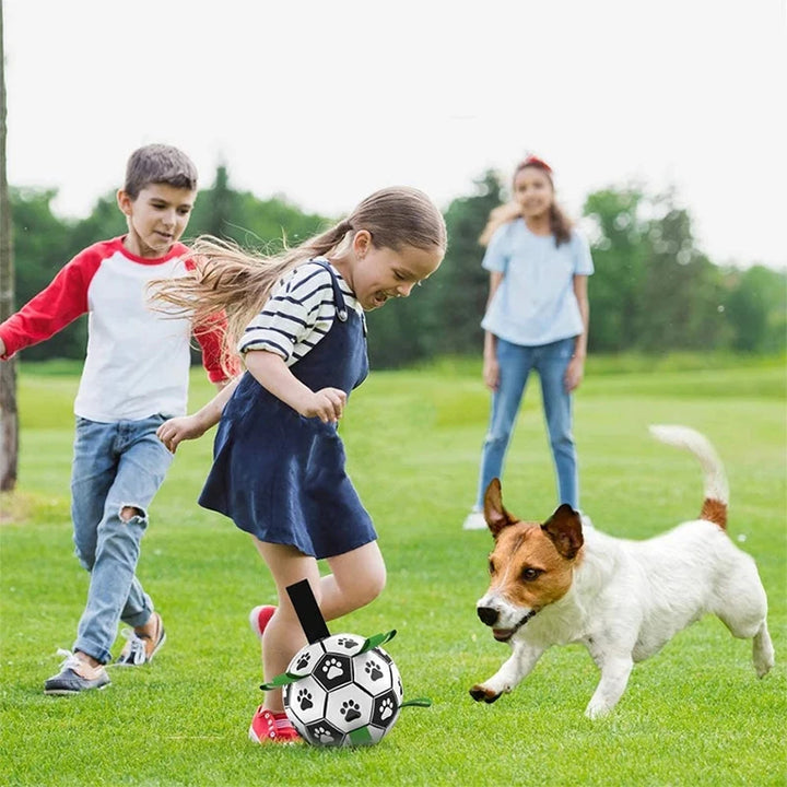 Interactive Soccer Brain Game for Dogs