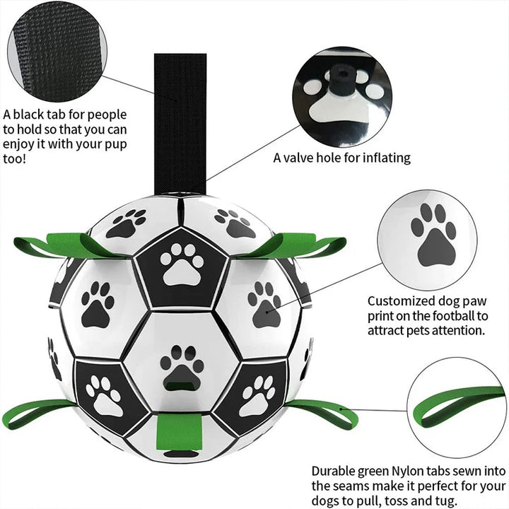 Interactive Soccer Brain Game for Dogs