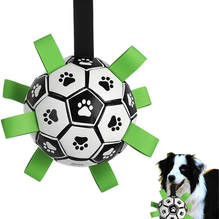 Interactive Soccer Brain Game for Dogs